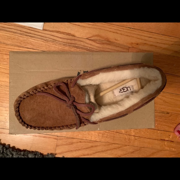 UGG Shoes - UGGS NEW IN BOX